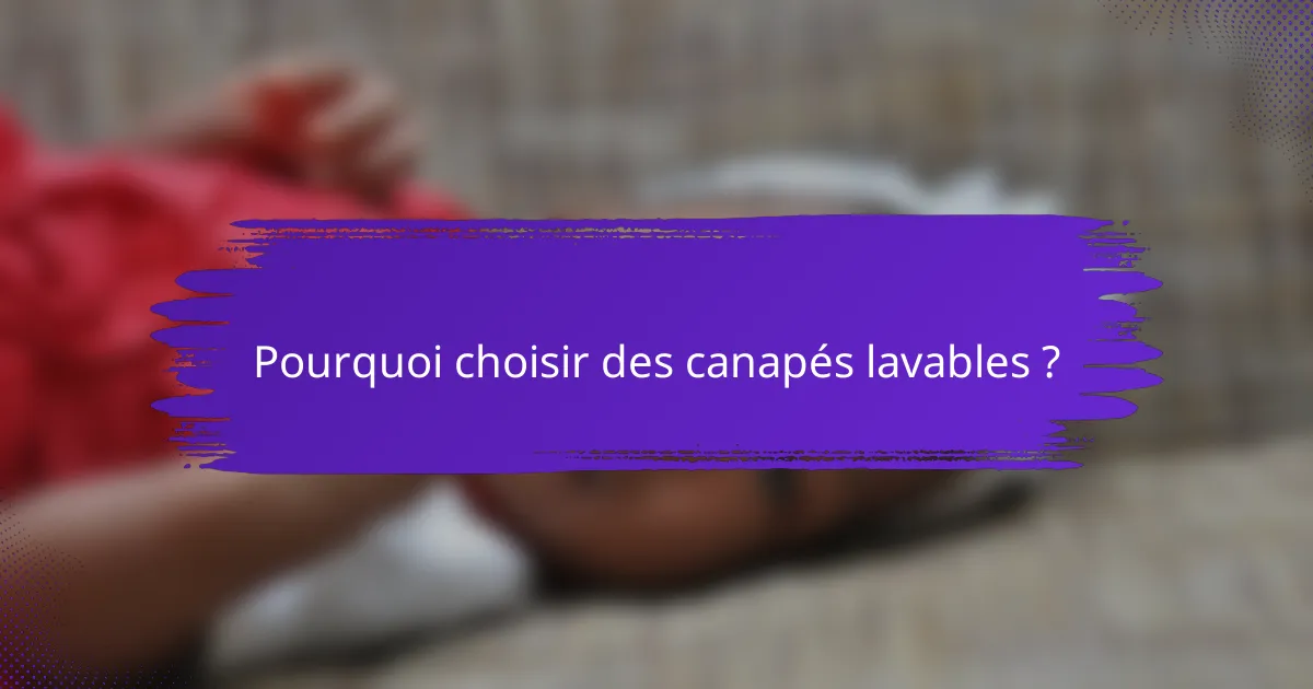 Pourquoi choisir des canapés lavables ?