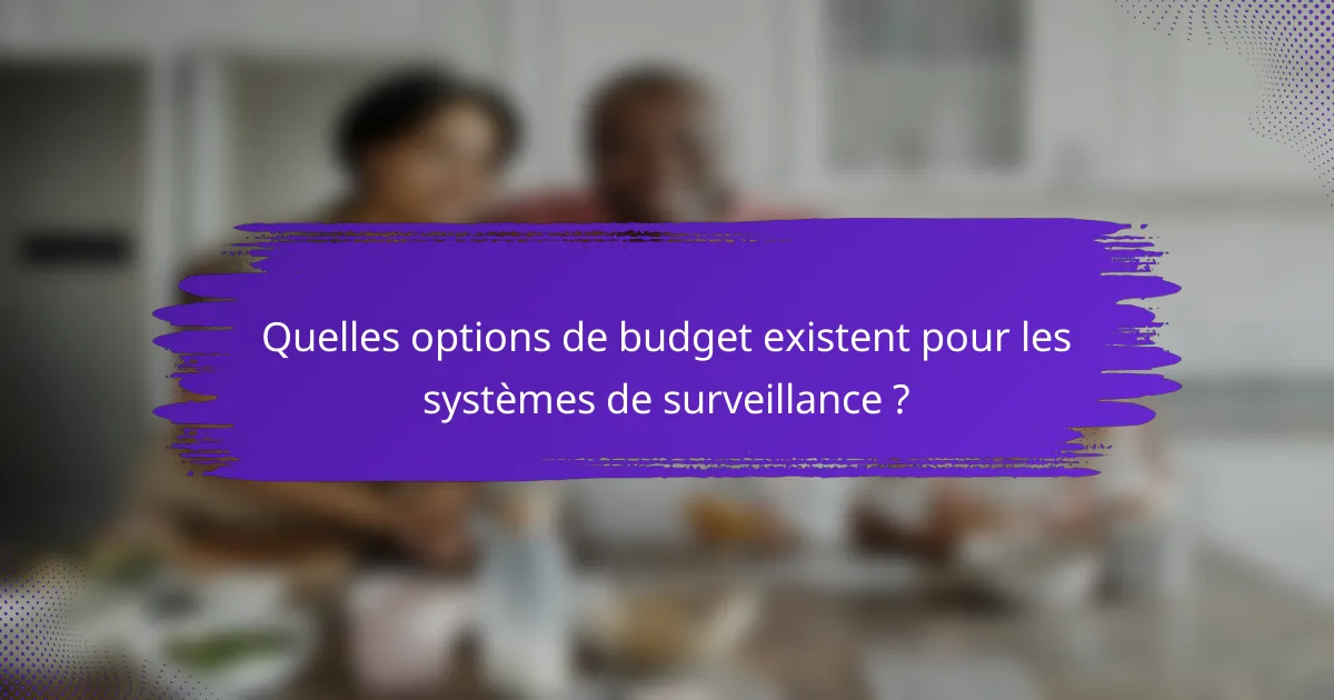 Quelles options de budget existent pour les systèmes de surveillance ?