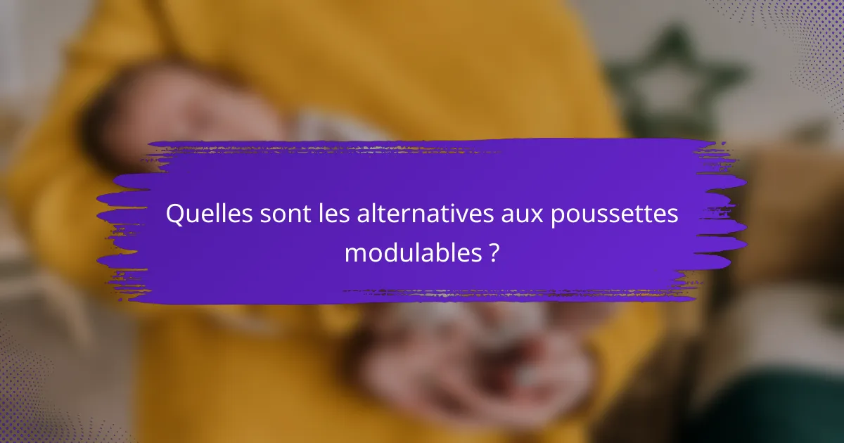 Quelles sont les alternatives aux poussettes modulables ?