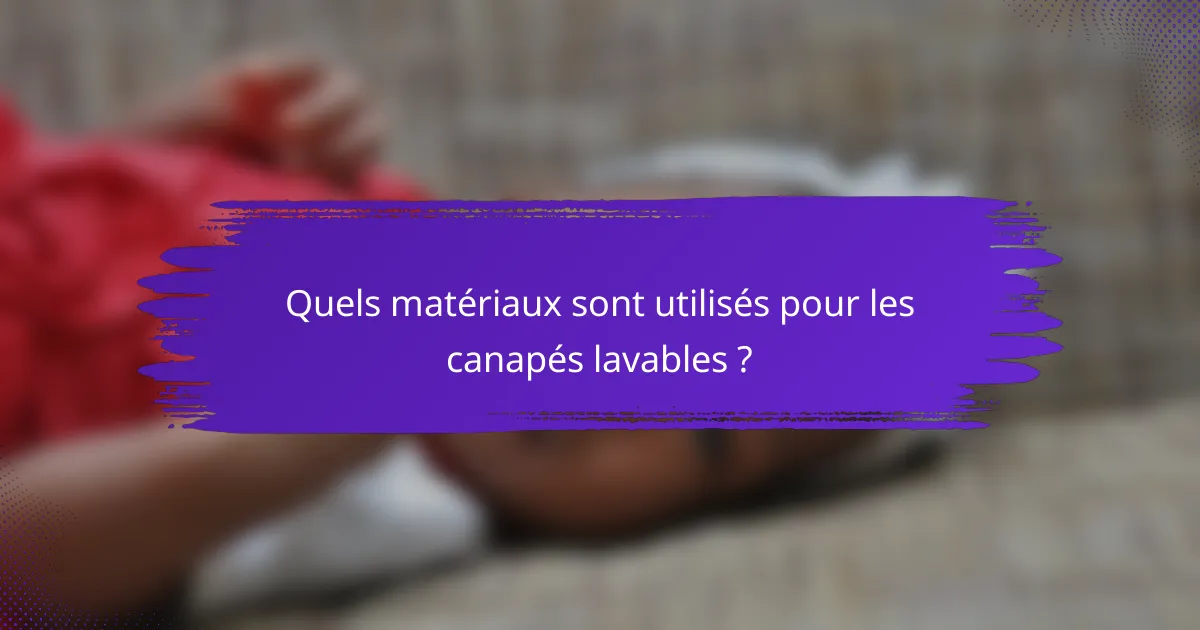 Quels matériaux sont utilisés pour les canapés lavables ?