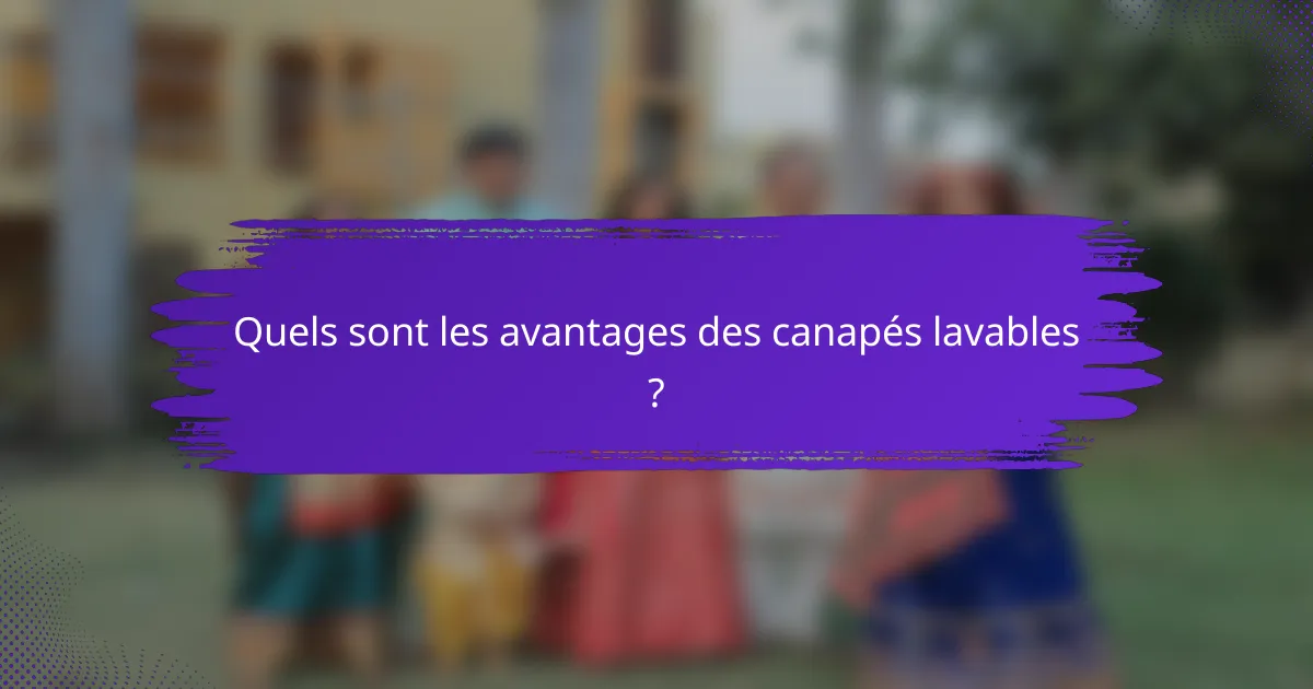 Quels sont les avantages des canapés lavables ?