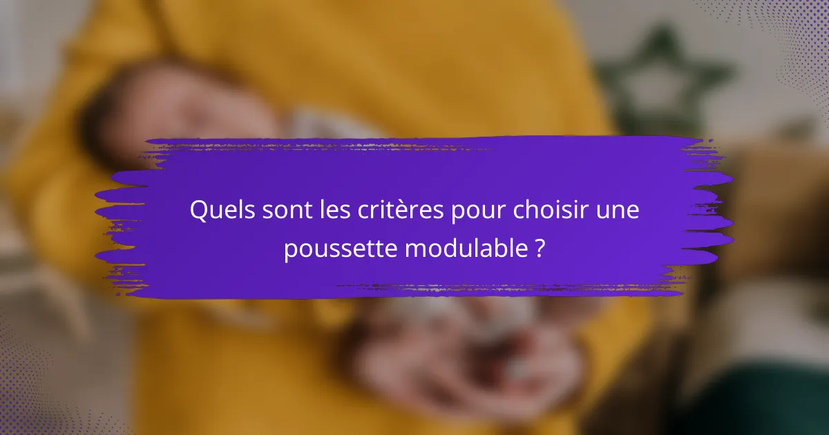Quels sont les critères pour choisir une poussette modulable ?