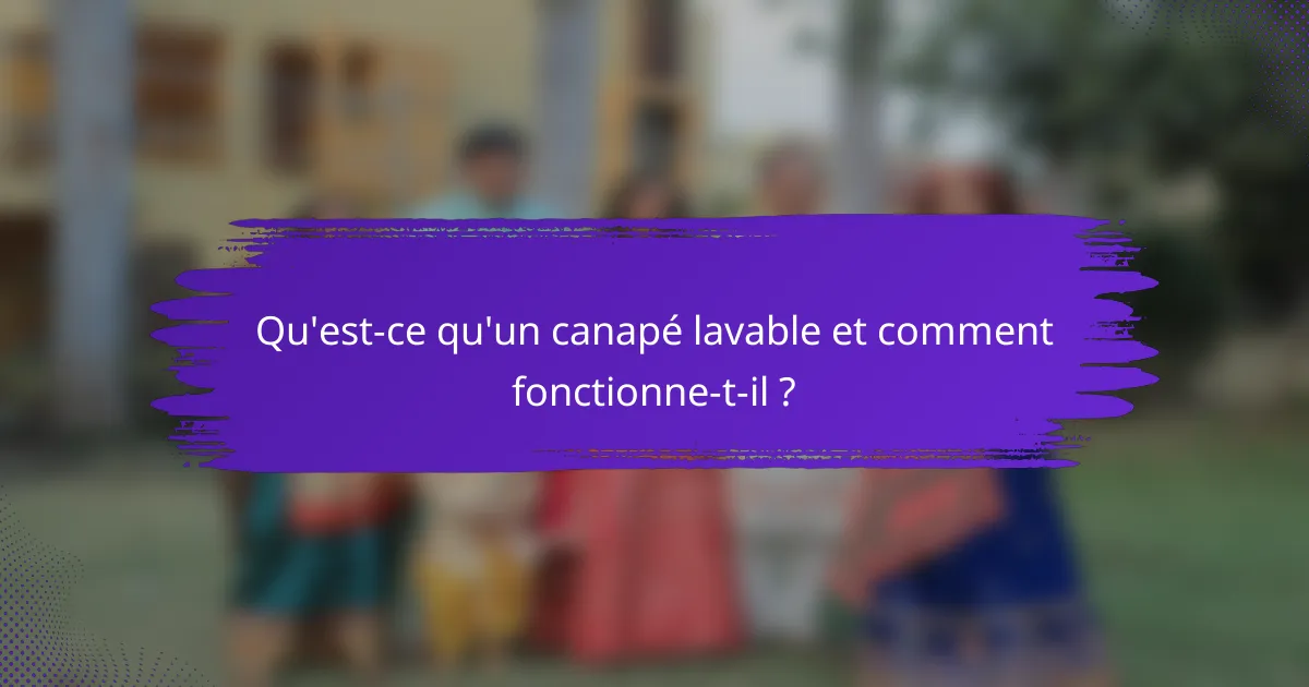Qu'est-ce qu'un canapé lavable et comment fonctionne-t-il ?